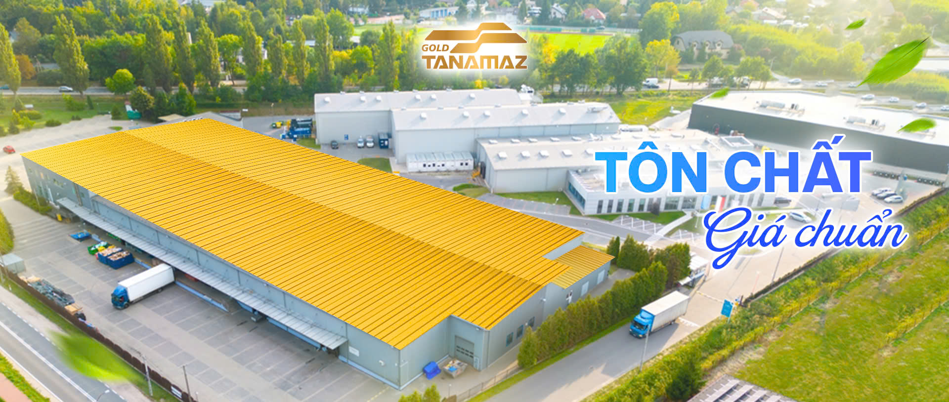 TANAMAZ GOLD - Tôn Tây Nam