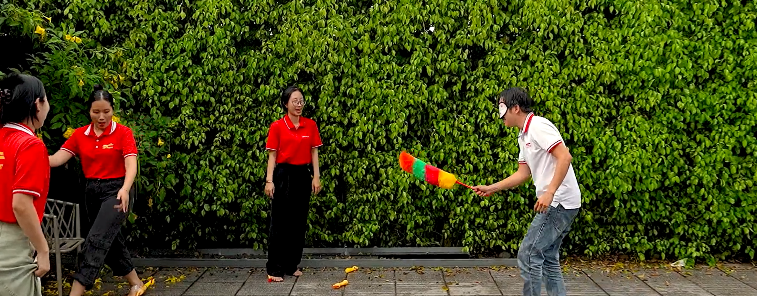 Video - Tôn Tây Nam