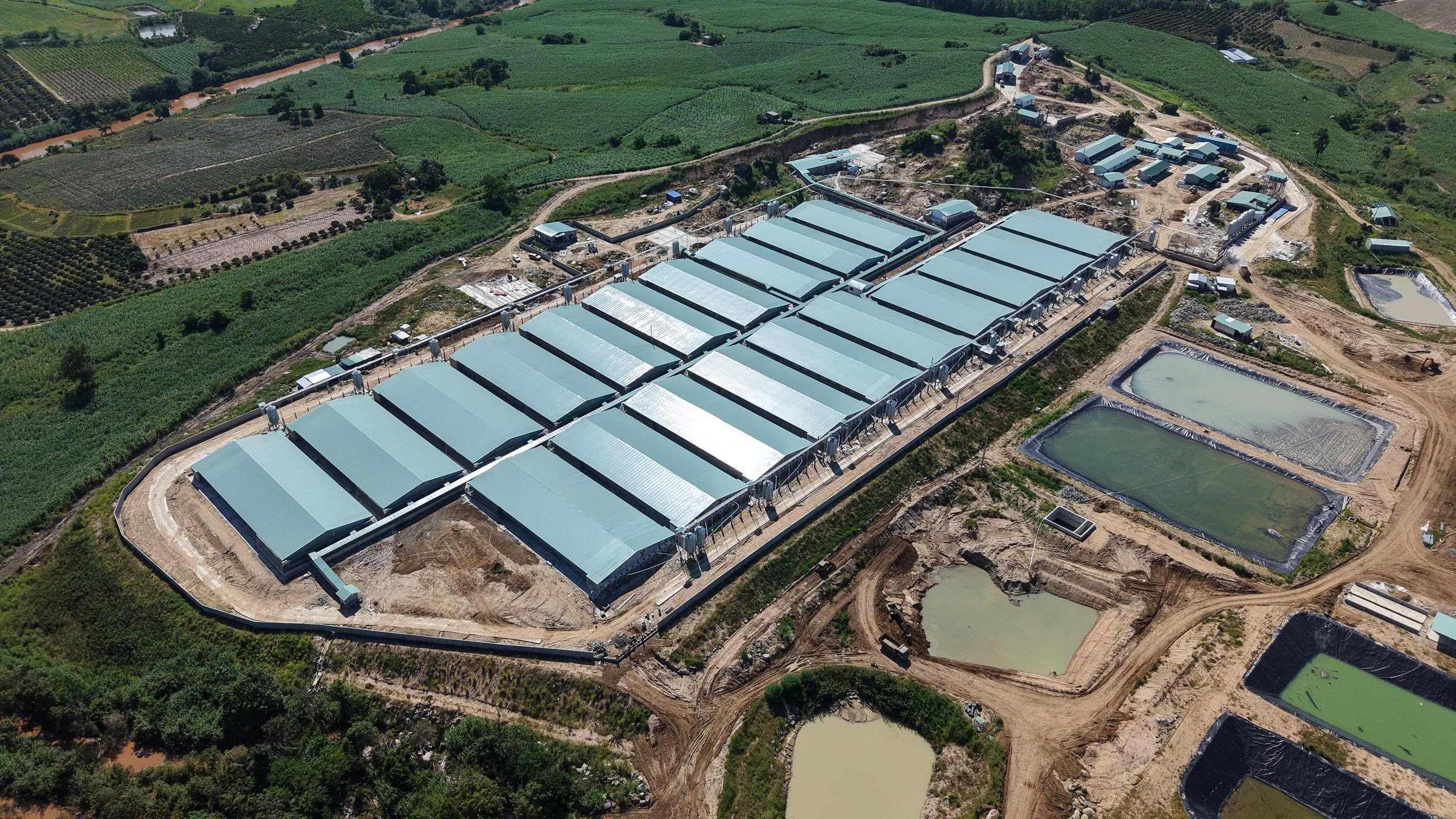 Project - Tôn Tây Nam